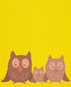 the owl family